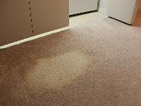 Creative Carpet Repair Hillsboro image 2